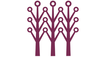 Asia Principal Capital